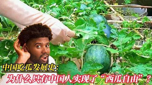 历史就是吃瓜,那些年我们津津乐道的往事
