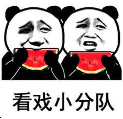 继续吃瓜表情包,继续吃瓜表情包带你领略欢乐时光