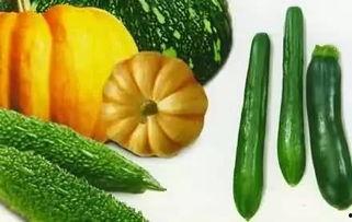 阳光下吃瓜,品味夏日瓜果的甜蜜滋味