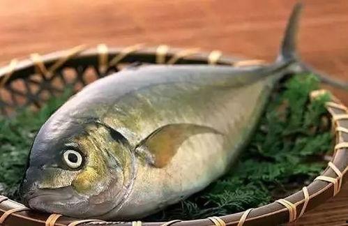 带你吃瓜奇怪鱼类,带你探索“带你吃瓜”的神秘鱼类之谜