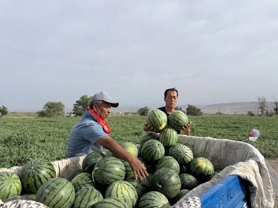 出行吃瓜,品味各地特色美食，尽享吃瓜之旅