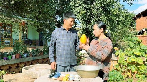 做梦树上摘瓜吃,树上摘瓜的奇幻之旅