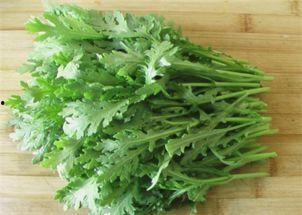 蒿弟吃瓜,揭秘娱乐圈那些不为人知的幕后故事