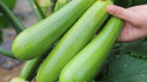 老左吃瓜,揭秘娱乐圈幕后真相