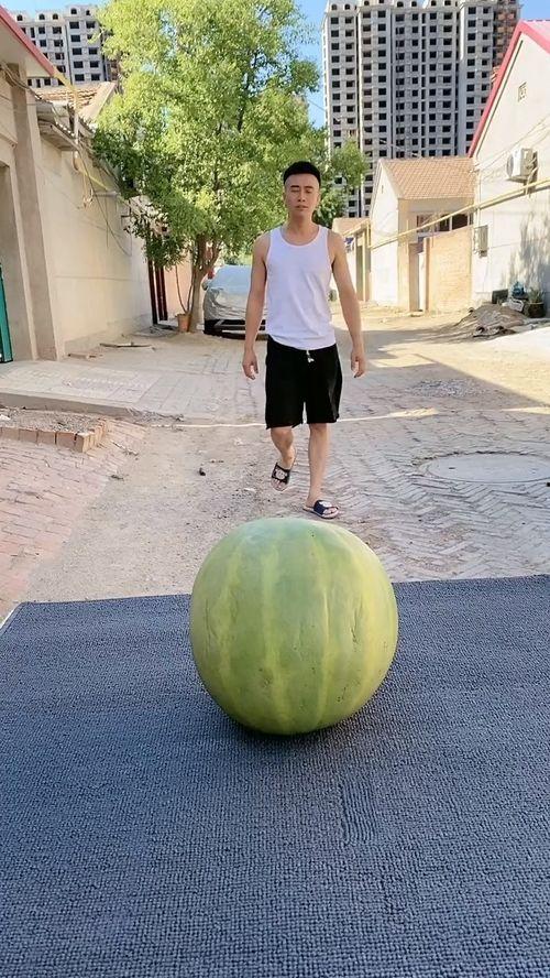 吃瓜以后呕吐,揭秘呕吐背后的真相