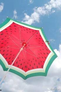 带你吃瓜雨伞会跳舞,带你见证雨伞的神奇舞蹈之旅