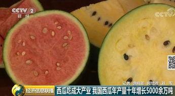 吃瓜群众中的瓜是什么瓜,那些年我们误会的瓜