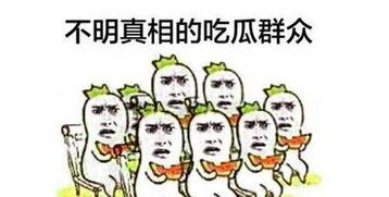 吃瓜群众小白